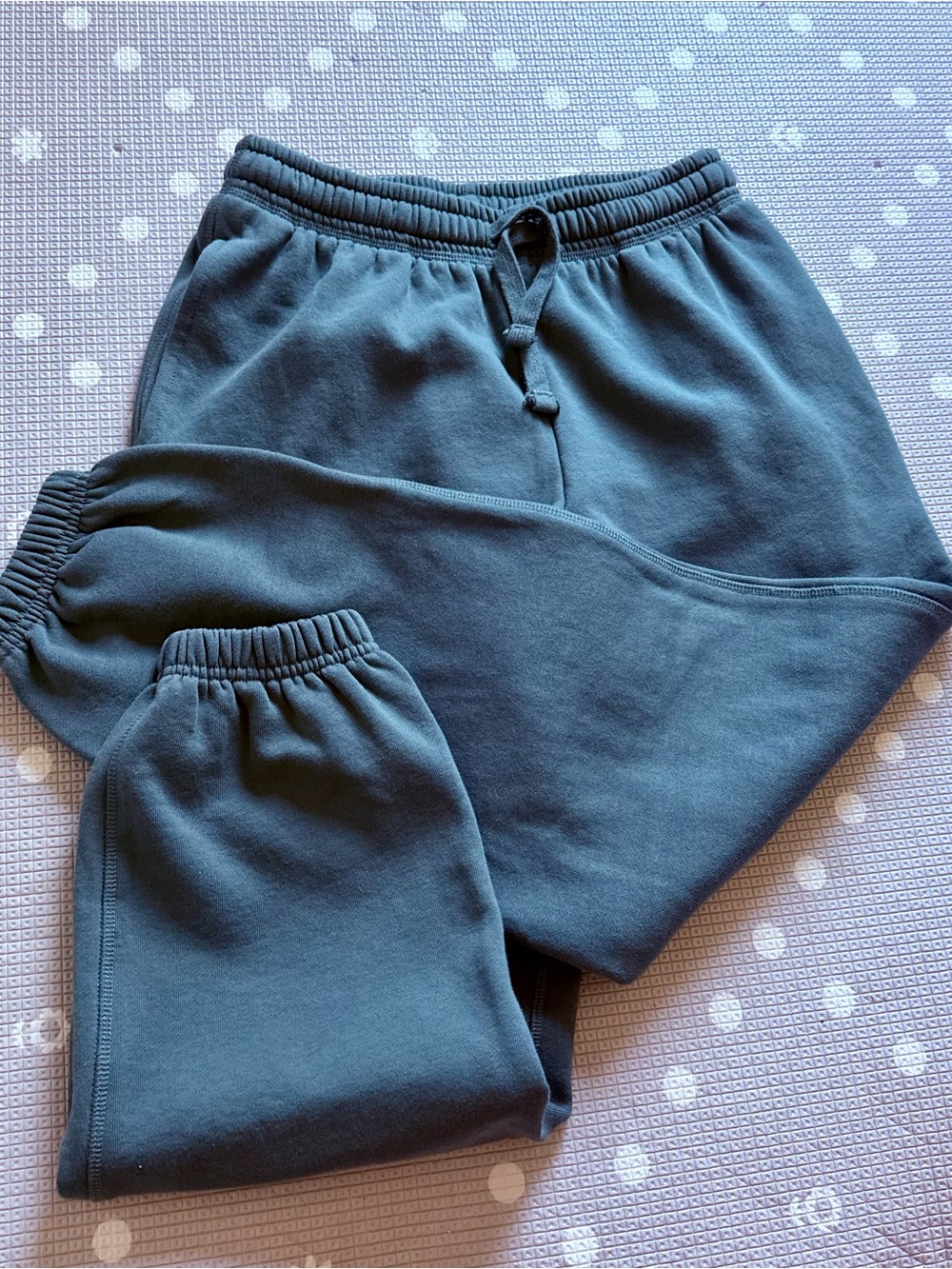 Richer Poorer Sweatpants Women's Small Sage Green